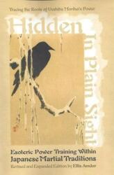 Hidden in Plain Sight (ISBN: 9781937439323)