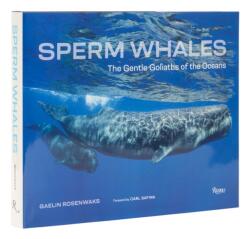 Sperm Whales - Carl Safina (ISBN: 9780847872329)