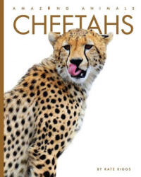 Cheetahs - Riggs, Kate (ISBN: 9781628329117)