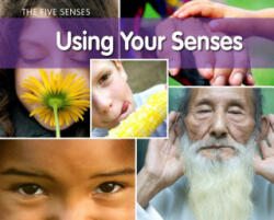 Using Your Senses - Rebecca Rissman (ISBN: 9781432954956)
