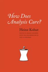 How Does Analysis Cure? (2013)