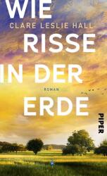 Wie Risse in der Erde (ISBN: 9783492073349)