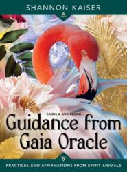 Guidance from Gaia Oracle (2024)