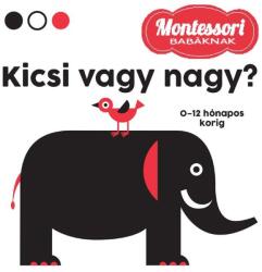 Kicsi vagy nagy? (ISBN: 9789635161133)