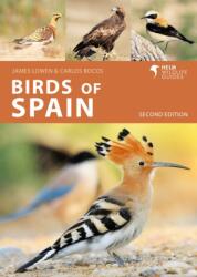 Birds of Spain (2024)