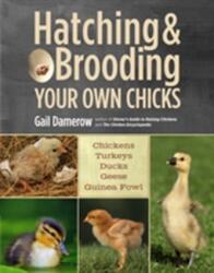 Hatching and Brooding Your Own Chicks (2013)