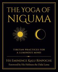 The Yoga of Niguma - Ira D Zunin MD, Michelle Loew (ISBN: 9781614299523)