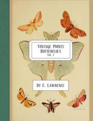Vintage Prints: Butterflies: Vol. 2 - E. Lawrence (ISBN: 9781987596557)