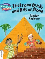 White Sticks, Bricks and Bits of Stone (ISBN: 9781107560567)