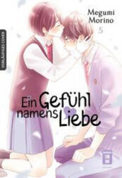 Ein Gefühl namens Liebe 05 - Yayoi Okada-Willmann (ISBN: 9783770441563)