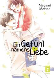 Ein Gefühl namens Liebe 06 (ISBN: 9783770441891)