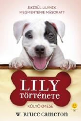 Lily története (2025)