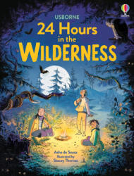 24 HOURS IN THE WILDERNESS - SOUSA ASHE DE (2025)