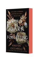Dark Forgetting (ISBN: 9781250407948)