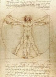 Vitruvian Man Notebook (2019)