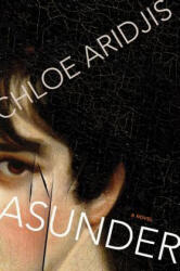 Asunder - Chloe Aridjis (2013)