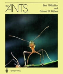 Bert Hölldobler, Edward O. Wilson - Ants - Bert Hölldobler, Edward O. Wilson (ISBN: 9783540520924)