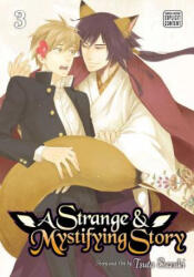 Strange and Mystifying Story, Vol. 3 - Tsuta Suzuki (ISBN: 9781421595979)