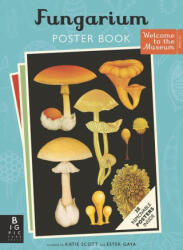Fungarium Poster Book - Katie Scott (ISBN: 9781536232516)