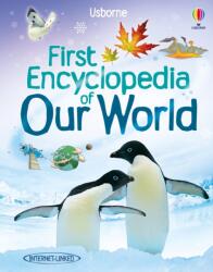 First Encyclopedia of Our World - Felicity Brooks (ISBN: 9781409514305)