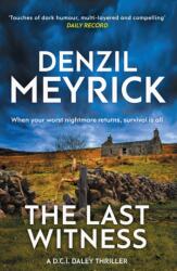 The Last Witness (ISBN: 9781846972881)