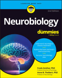 Neurobiology For Dummies (2024)