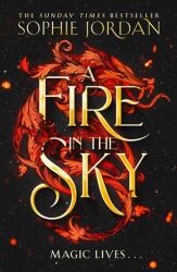 A Fire in the Sky (2025)