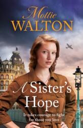 A Sister's Hope (ISBN: 9781802793109)