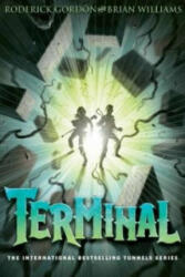Terminal - Roderick Gordon (ISBN: 9781908435439)