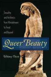Queer Beauty - W Davis (ISBN: 9780231146906)