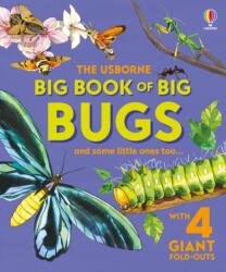 Big Book of Big Bugs - Fabiano Fiorin (ISBN: 9781836040255)