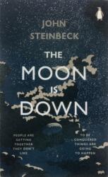 The Moon is Down (ISBN: 9780141395371)