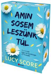 Amin sosem leszünk túl (2025)