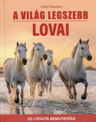 A világ legszebb lovai (2022)