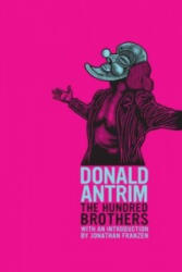 Hundred Brothers - Donald Antrim (2013)