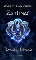 Zaklínač IX. : Rozcestí krkavců (2025)