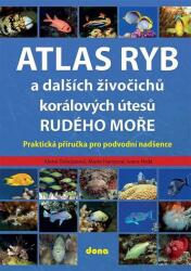 Atlas ryb a dalších živočichů korálových útesů Rudého moře - Praktická příručka pro vodní nadšence (2024)
