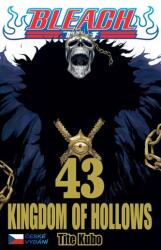Bleach 43: Kingdom of Hollows (2025)