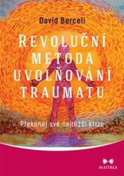 Revoluční metoda uvolňování traumatu - Překonej své nejtěžší krize (2017)