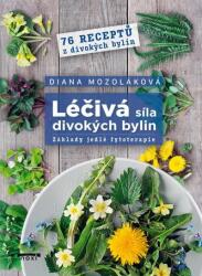 Léčivá síla divokých bylin - Základy jedlé fytoterapie, 76 receptů z divokých bylin (2023)