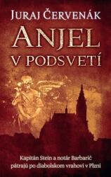 Anjel v podsvetí (2020)