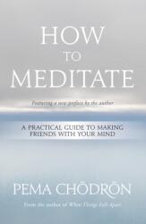 How to Meditate - Pema Chodron (2021)