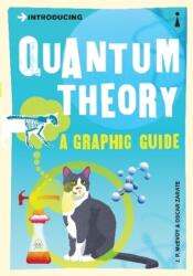 Introducing Quantum Theory: A Graphic Guide (2007)