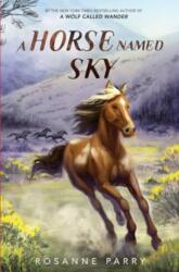 A Horse Named Sky (ISBN: 9780062995964)