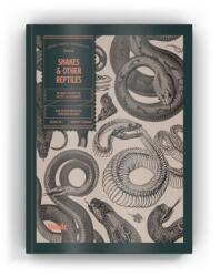 Snakes and Other Reptiles (ISBN: 9781925968880)