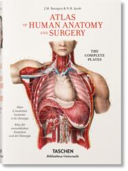 Bourgery (ISBN: 9783836556637)