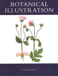 Botanical Illustration (ISBN: 9781847970510)