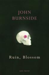 Ruin, Blossom (ISBN: 9781529909258)