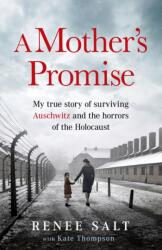 A Mother's Promise (ISBN: 9781399625418)