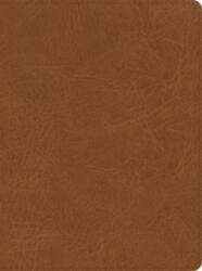 CSB He Reads Truth Bible, Saddle Leathertouch - He Reads Truth, Raechel Myers (ISBN: 9781087766133)